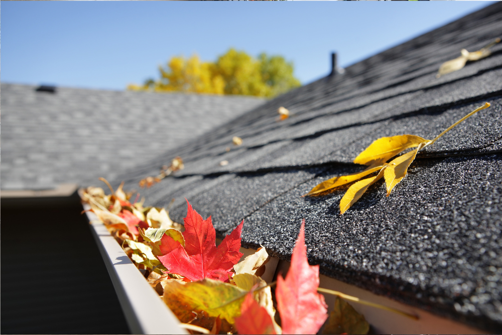 Gutter Cleaning Vancouver Island