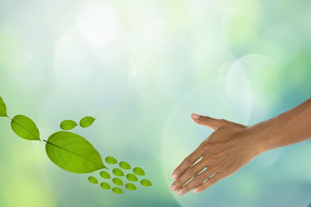 ECO-FRIENDLY CLEANING SOLUTIONS FOR VANCOUVER ISLAND BUSINESSES