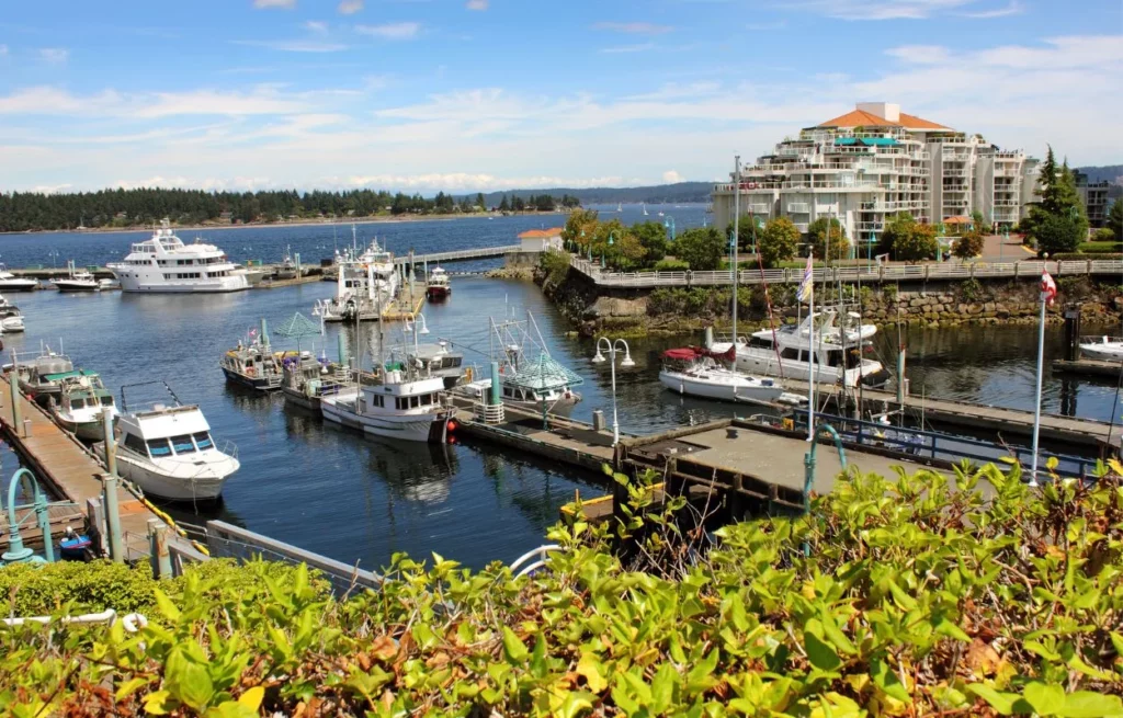 Nanaimo Commercial Cleaning