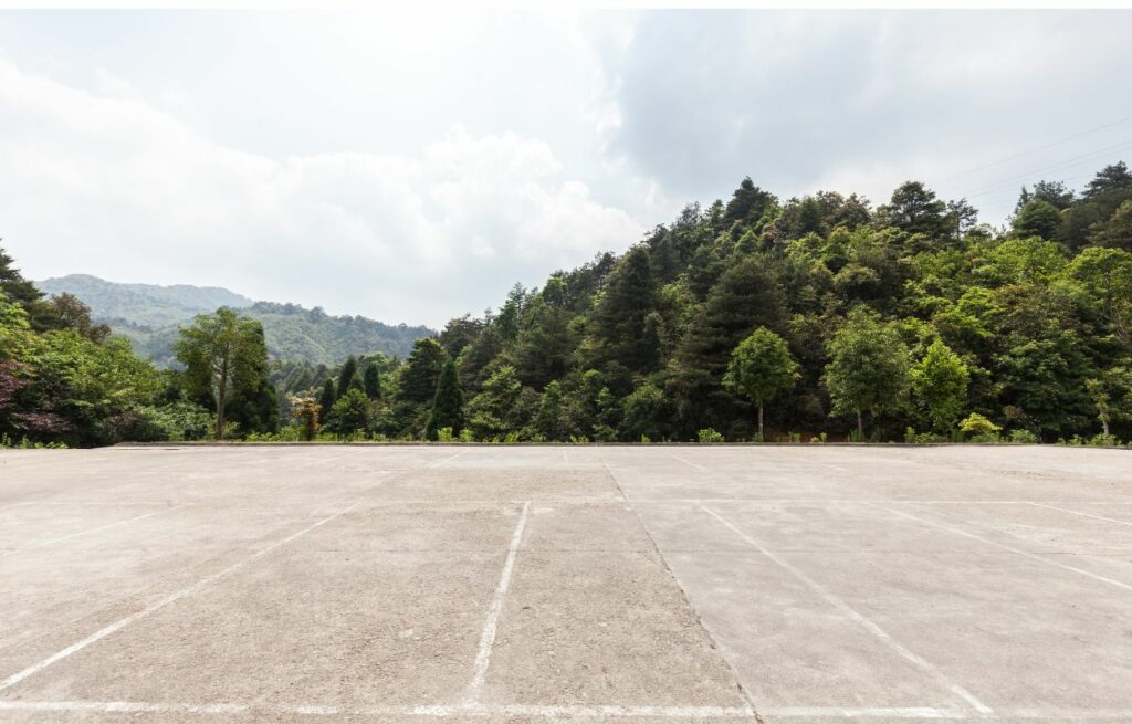 parkinglotwithtrees